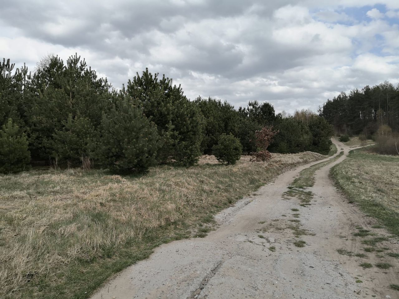 Działka rolno-budowlana Rokity. Zdjęcie 3