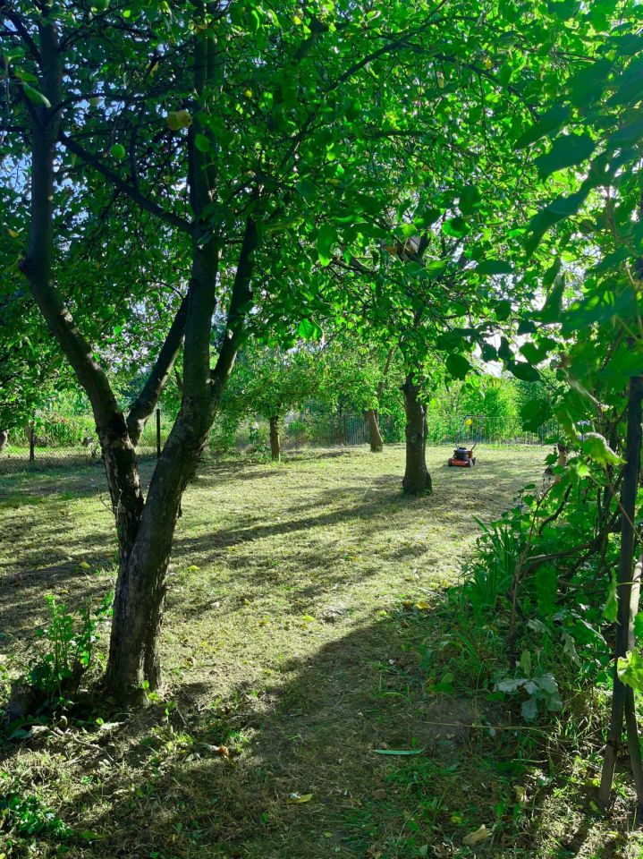 Działka rod Stalowa Wola. Zdjęcie 5