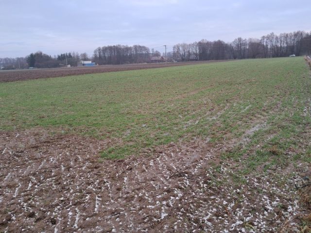 Działka budowlana Stary Toruń, ul. Wiosenna. Zdjęcie 1
