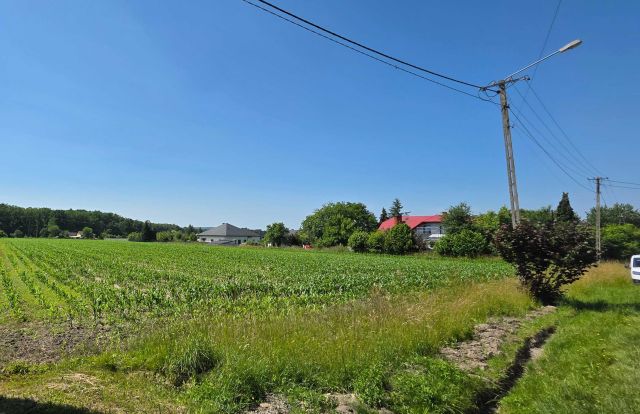 Działka budowlana Górki Wielkie, ul. Nowy Świat. Zdjęcie 1