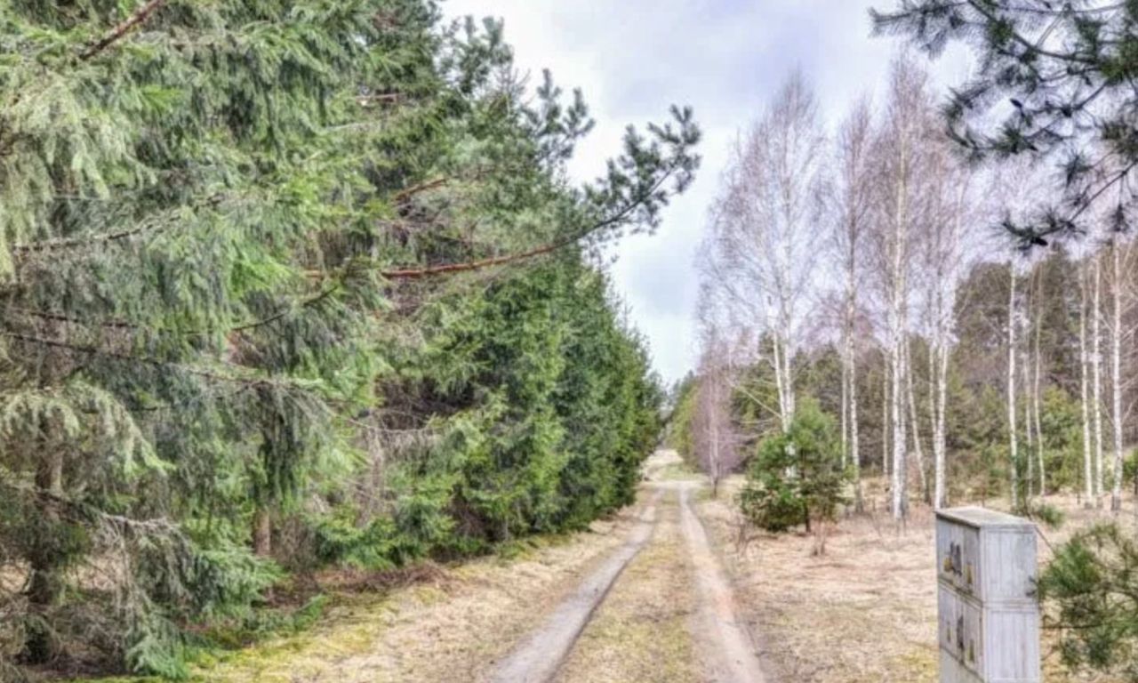 Działka rolno-budowlana Płaska. Zdjęcie 6