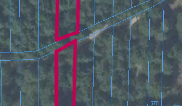 Działka leśna Nieciecz