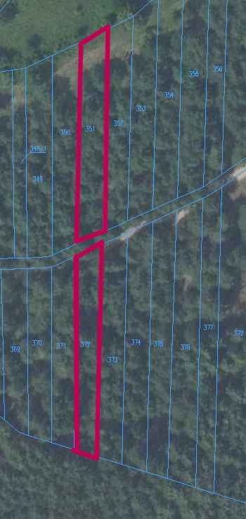 Działka leśna Nieciecz