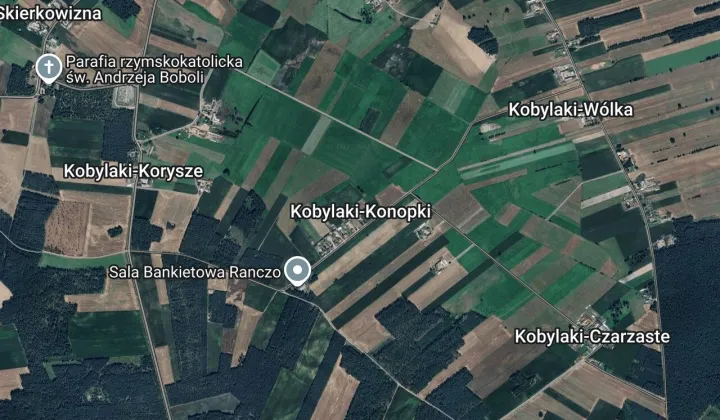 Działka leśna Kobylaki-Konopki