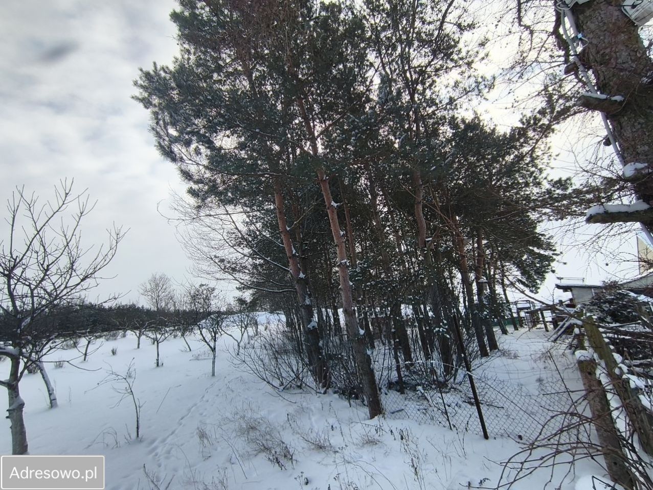 siedlisko, 5 pokoi Janowo. Zdjęcie 11