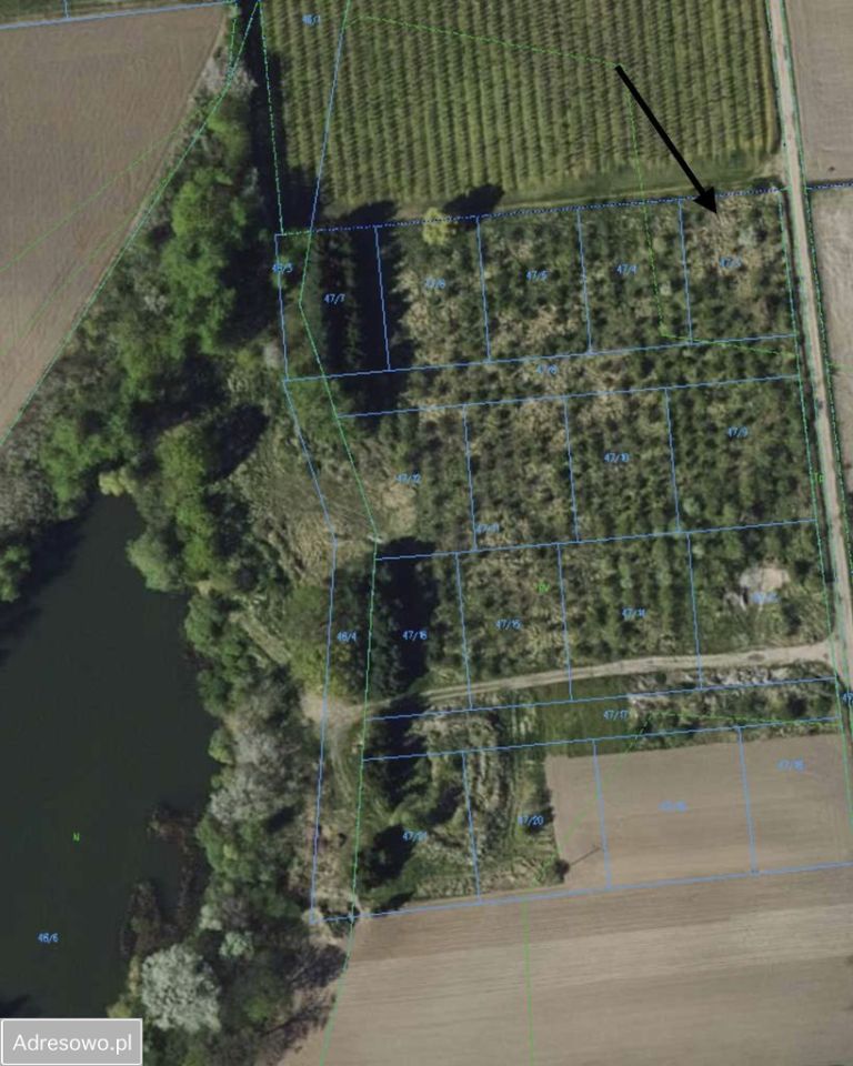 Działka budowlana Sójki. Zdjęcie 6