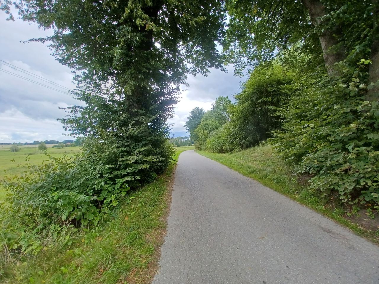 Działka rolna Matule. Zdjęcie 5