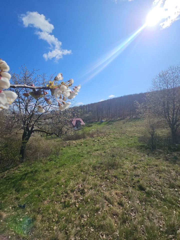 Działka Kłonice. Zdjęcie 3