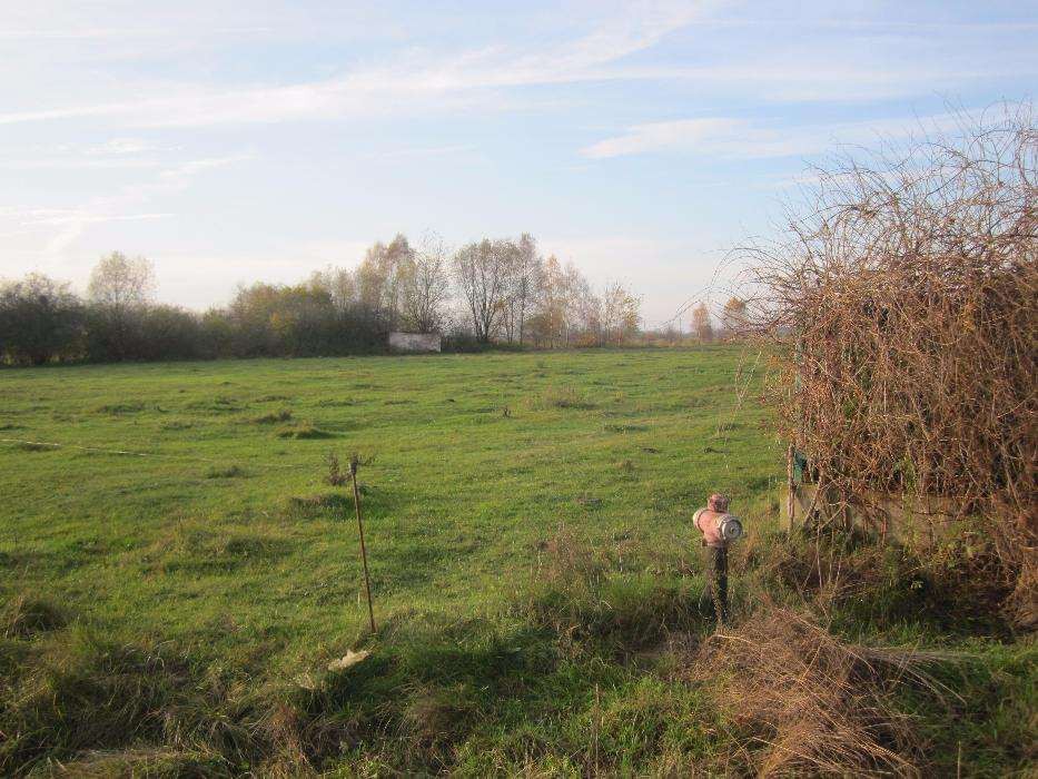 Działka budowlana Węgrów, ul. Sosnowa. Zdjęcie 4