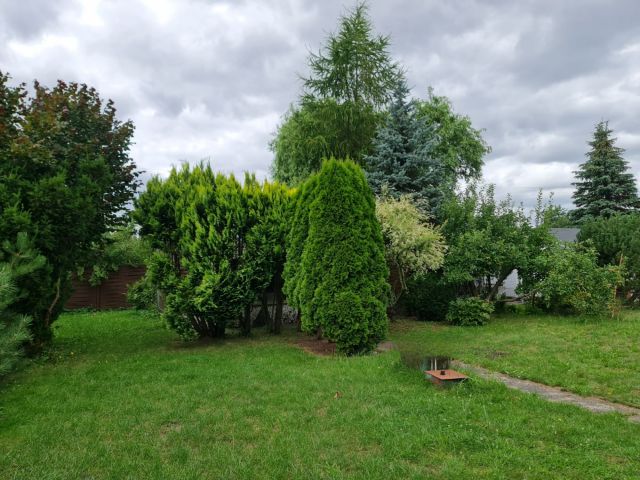 Działka rekreacyjna Szczecin Krzekowo, ul. Waleriana Łukasińskiego. Zdjęcie 1