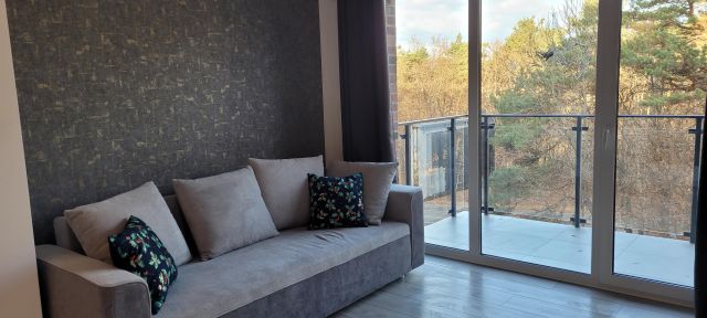 Mieszkanie 2-pokojowe Poznań Chartowo, ul. Żelazna. Zdjęcie 1