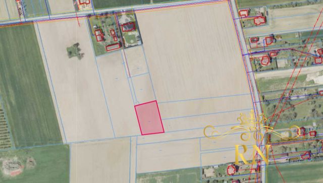 Działka budowlana Łęczna Trębaczów, os. Kolonia Trębaczów. Zdjęcie 1