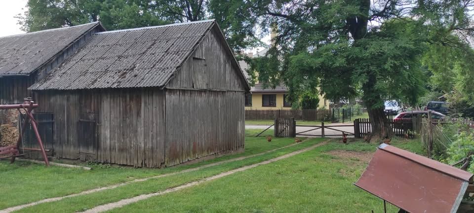 Działka rolno-budowlana Białowieża, ul. Wojciechówka. Zdjęcie 14