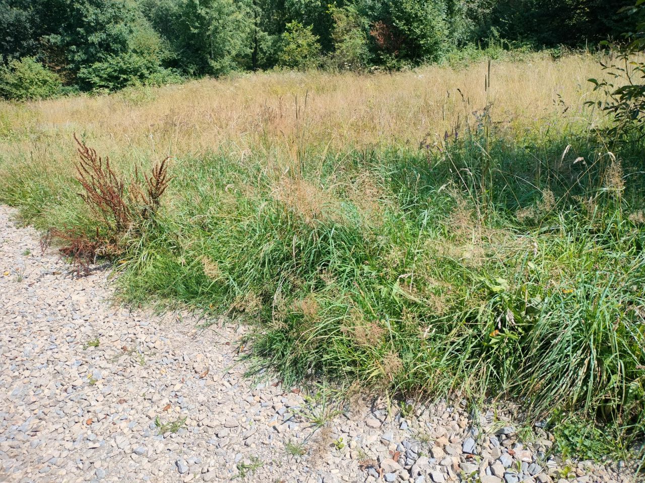 Działka rolno-budowlana Krasne Potockie Nowa Wieś. Zdjęcie 3