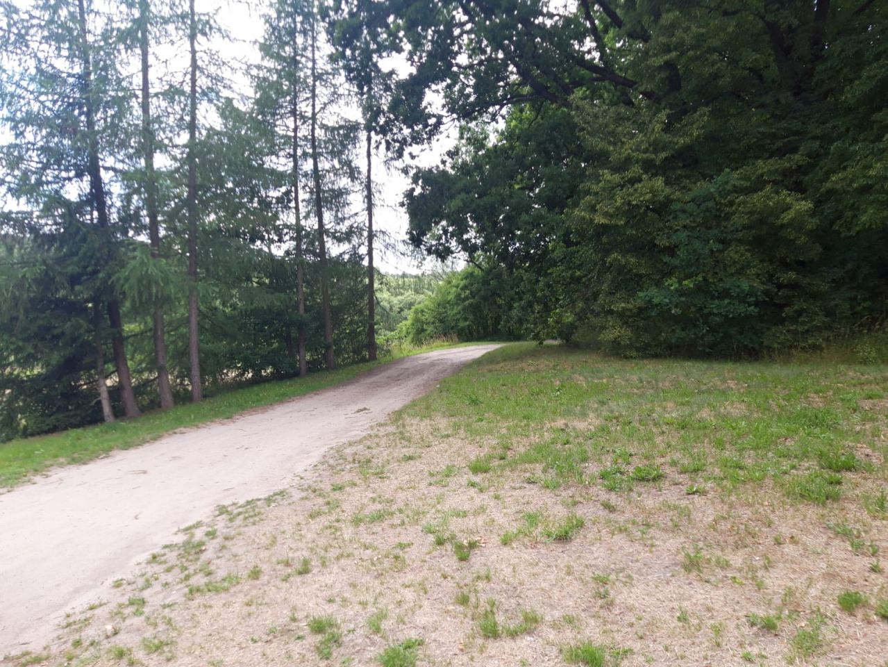 Działka budowlana Lipie. Zdjęcie 10