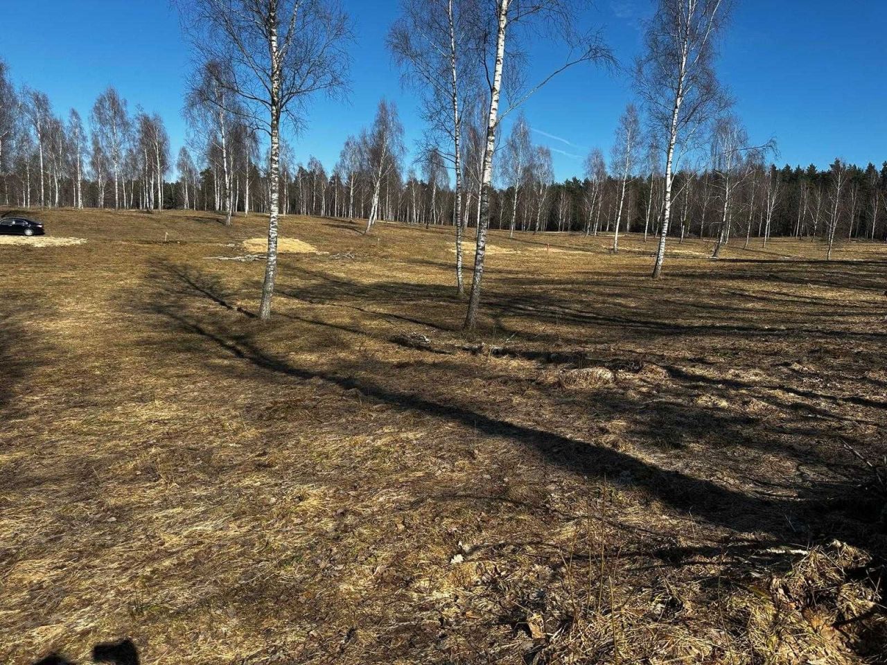 Działka rekreacyjna Rogowo. Zdjęcie 1