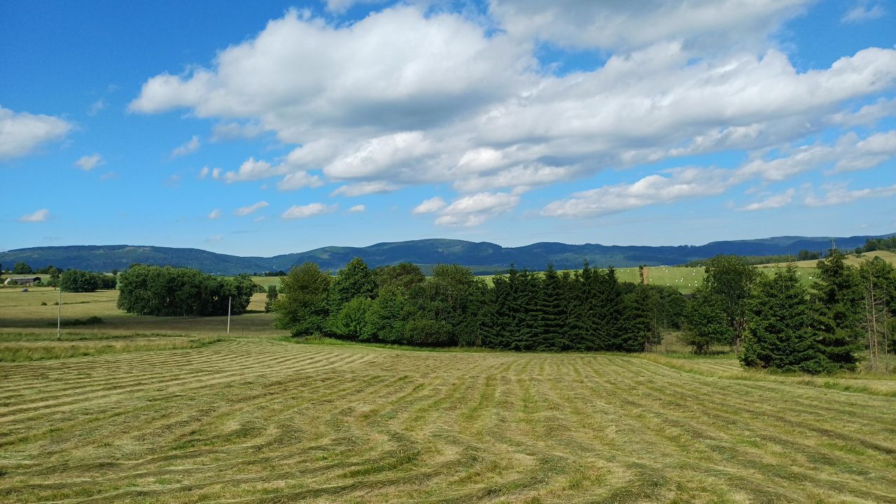 Działka rolna Krajanów. Zdjęcie 3