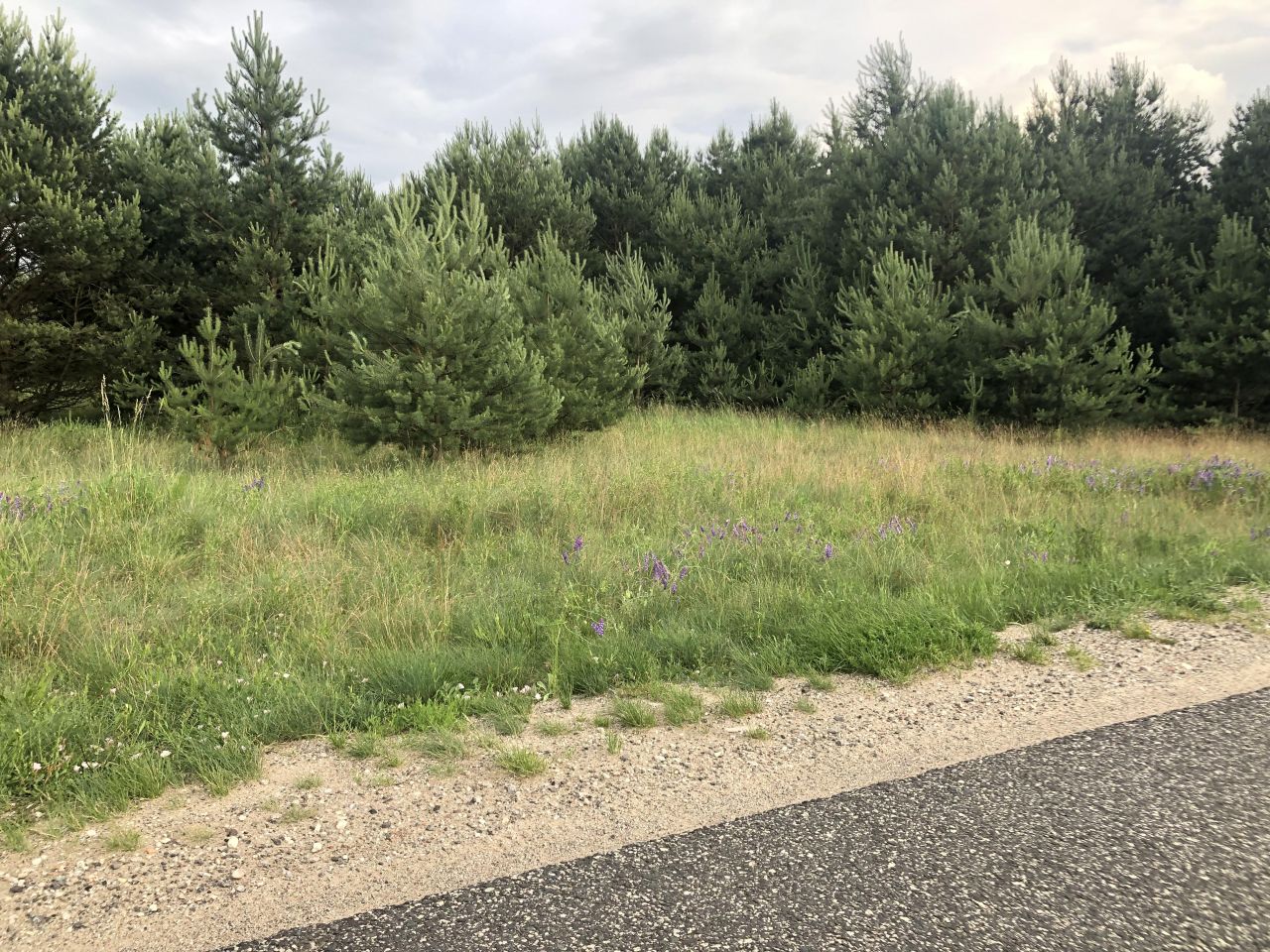 Działka budowlana Kolankowo, ul. Sielanka. Zdjęcie 7