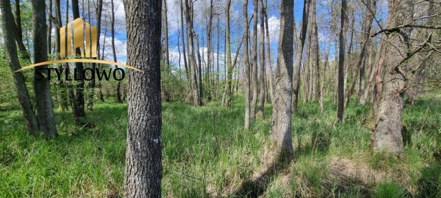 Działka budowlana Kronowo. Zdjęcie 10