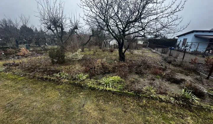 Działka rod Krotoszyn