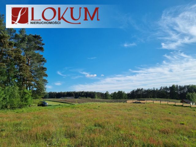 Działka budowlana Lipy. Zdjęcie 16