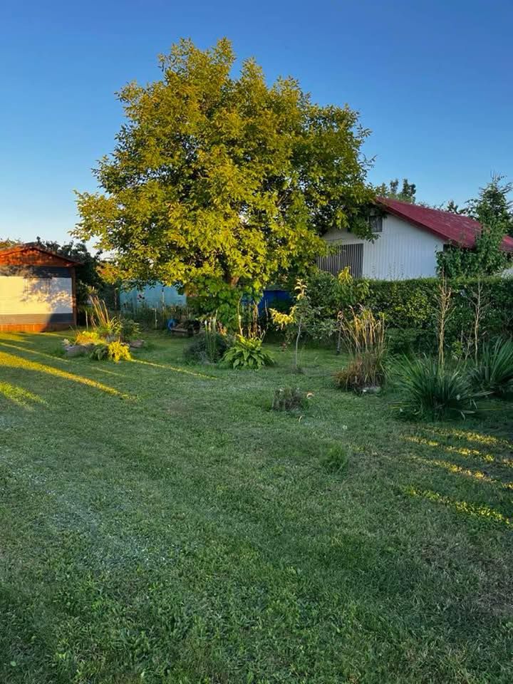 Działka rod Dury. Zdjęcie 8