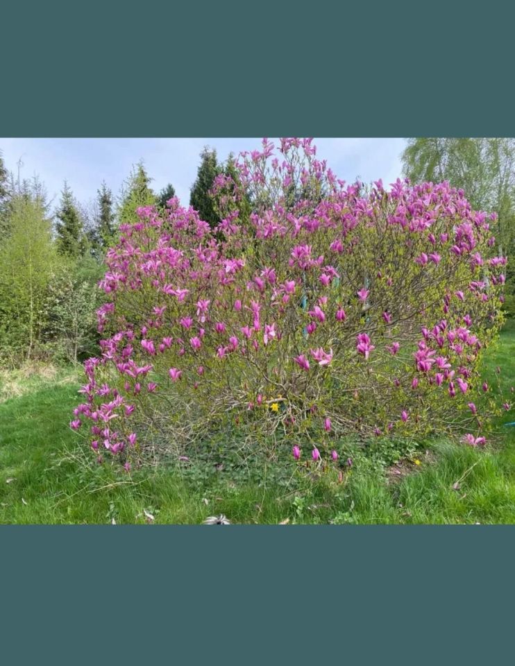 Działka budowlana Grzybowo, ul. Szkolna. Zdjęcie 5