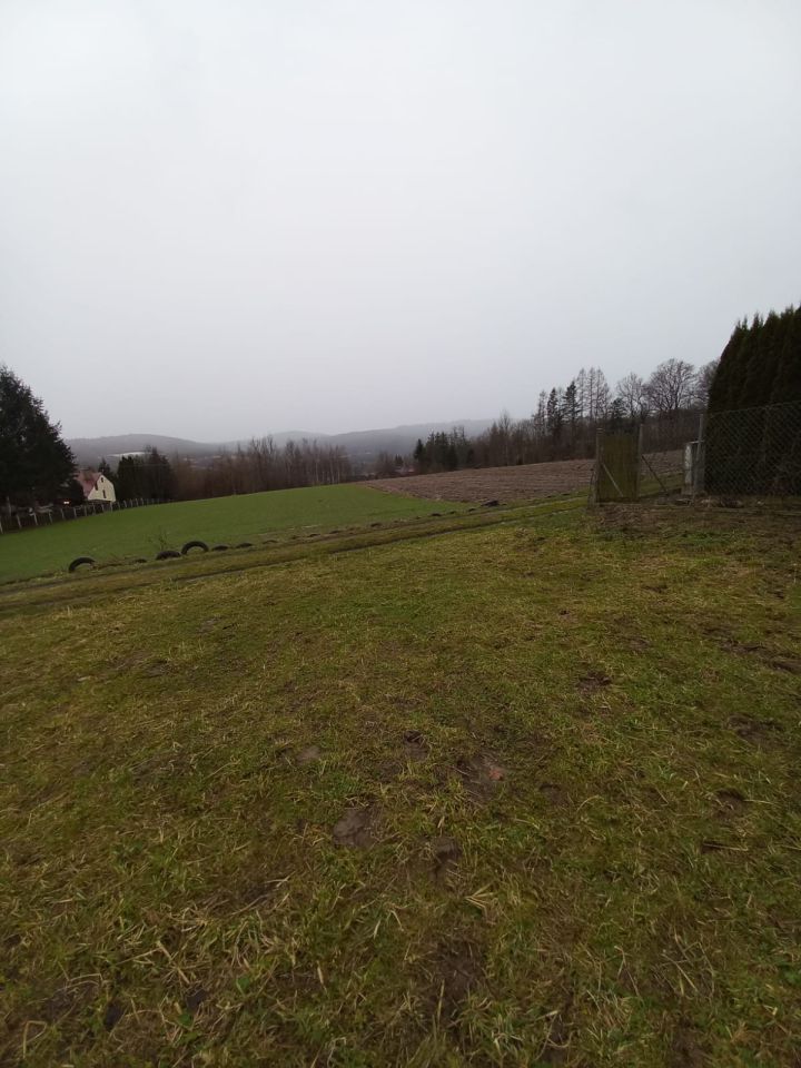 Działka rolno-budowlana Reczpol Przedchołowice. Zdjęcie 6