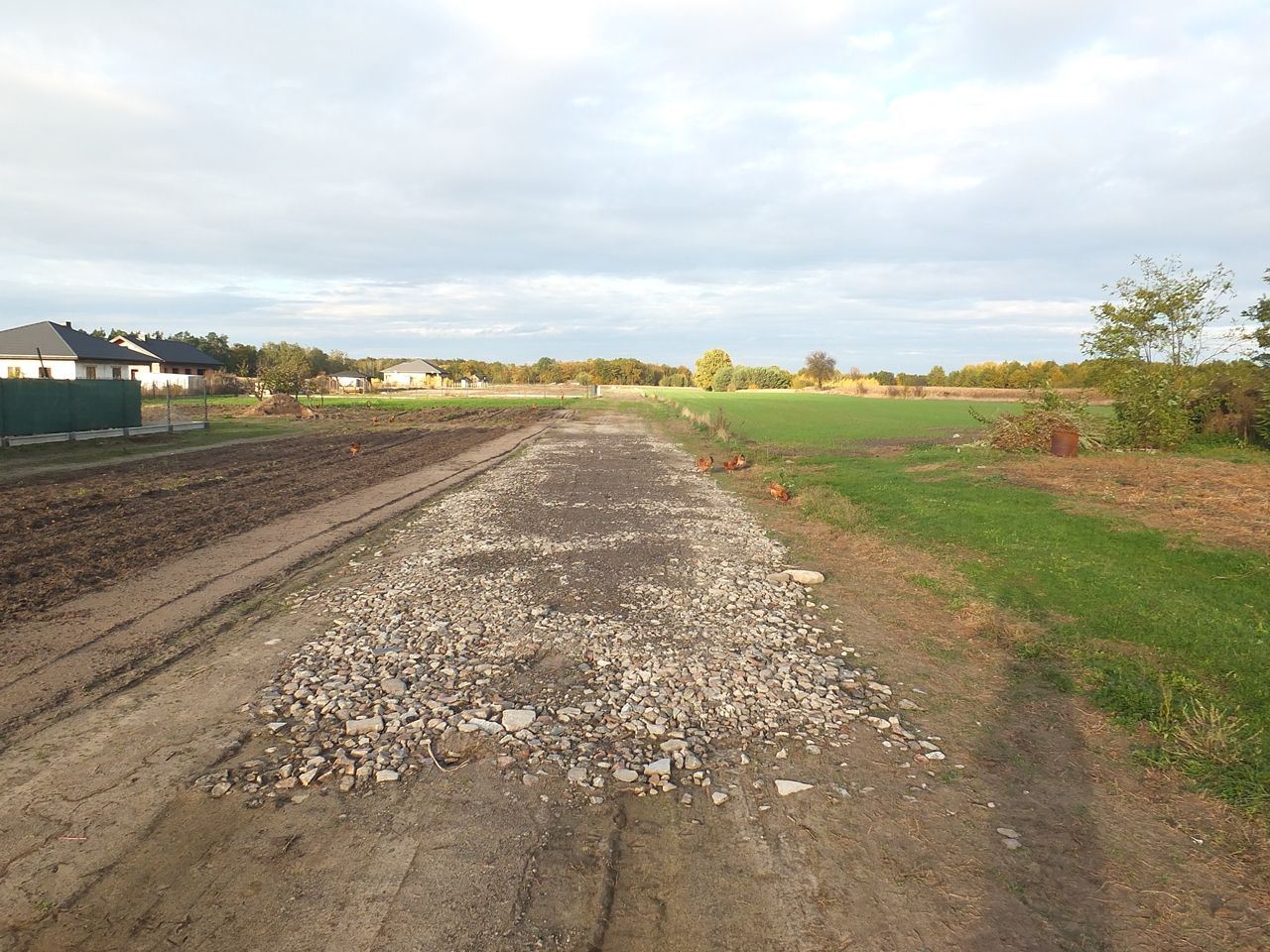 Działka budowlana Janów Ruszki. Zdjęcie 10