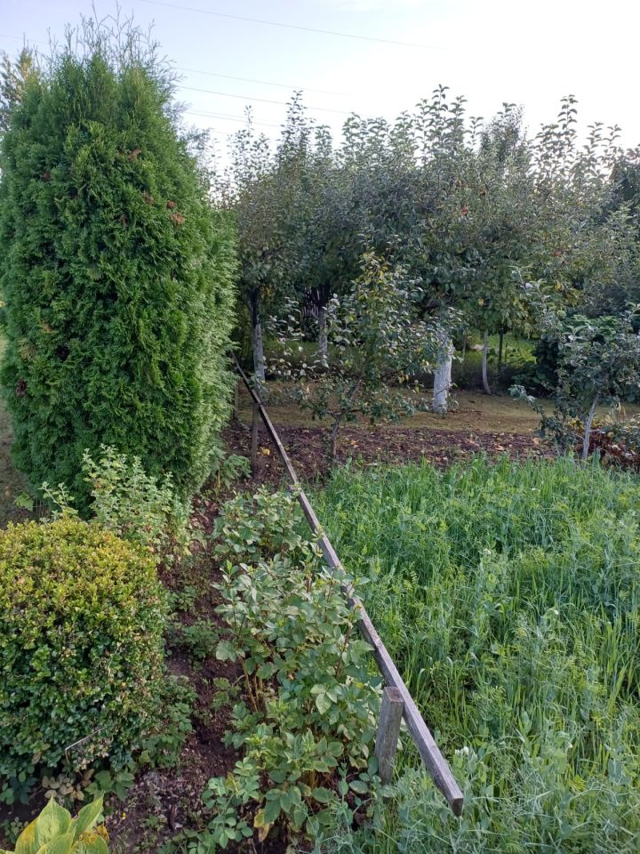 Działka rod Kwidzyn, ul. Furmańska. Zdjęcie 10