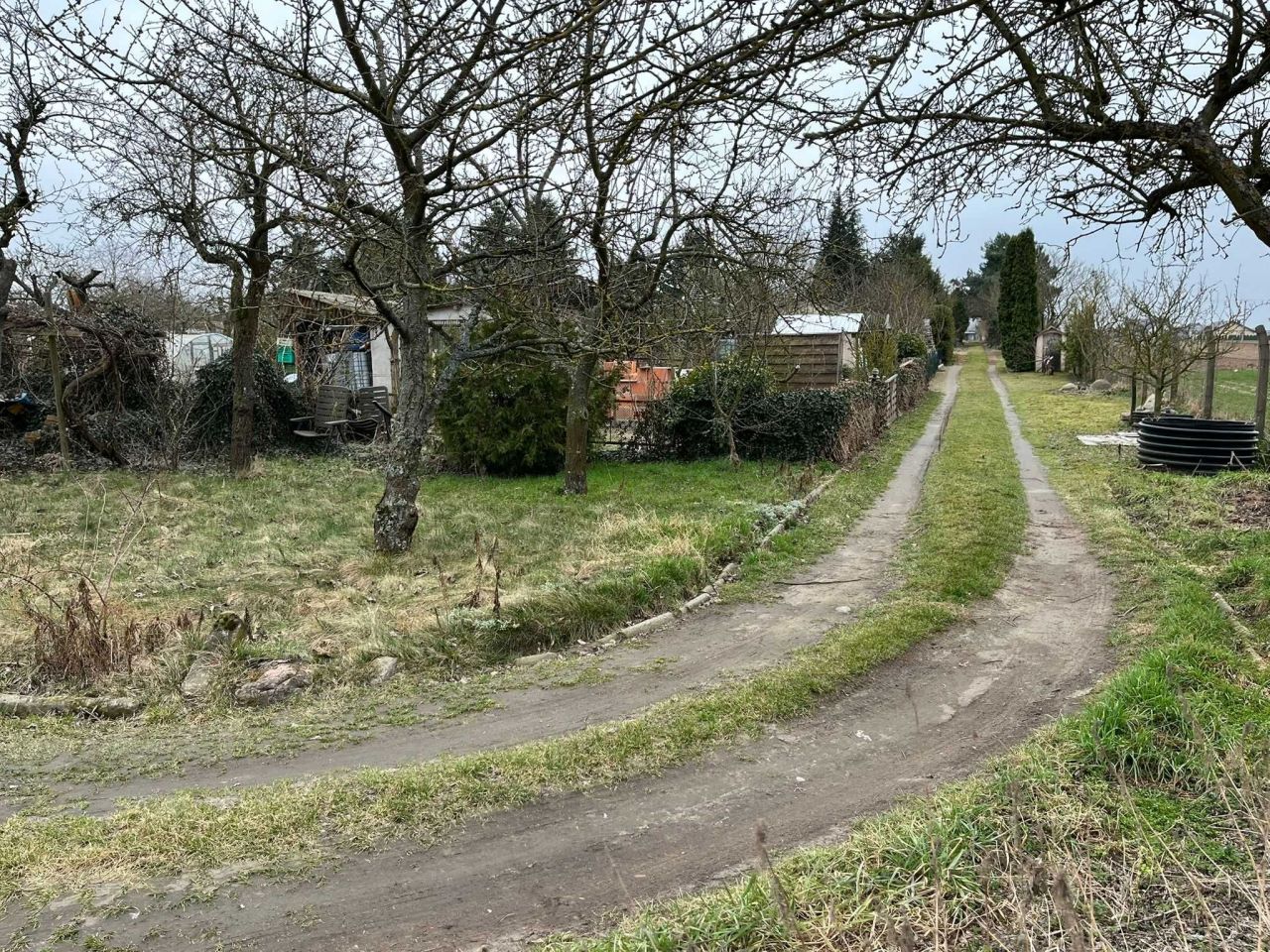 Działka rod Międzychód, ul. Napoleona Rutkowskiego. Zdjęcie 5