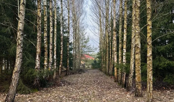 Działka budowlana Kolonia Rybacka, ul. Nadbrzeżna