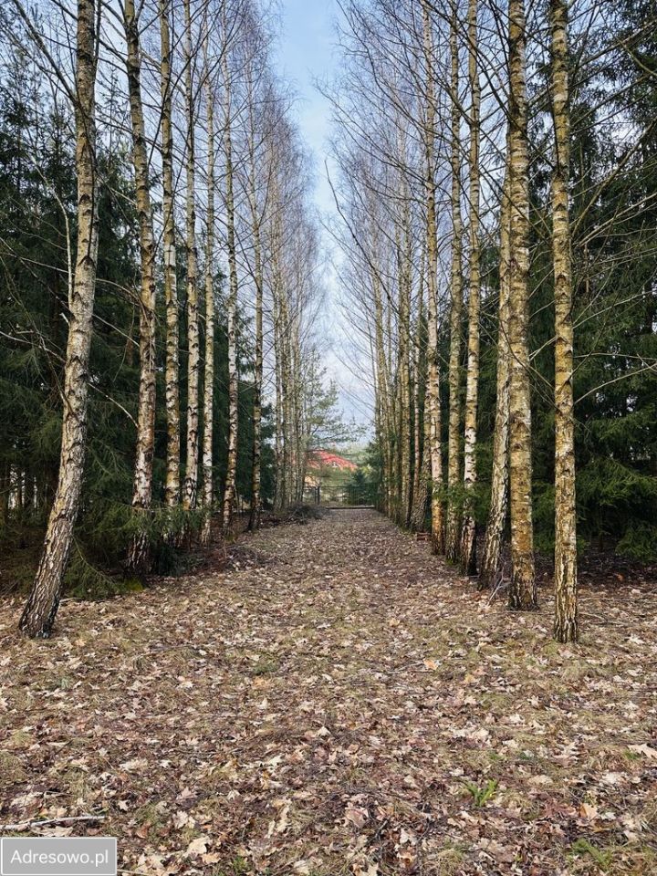 Działka budowlana Kolonia Rybacka, ul. Nadbrzeżna. Zdjęcie 1