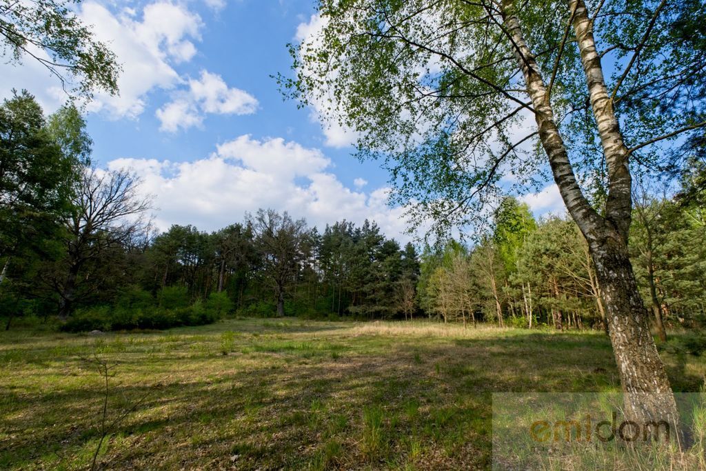 Działka budowlana Strzeniówka. Zdjęcie 2