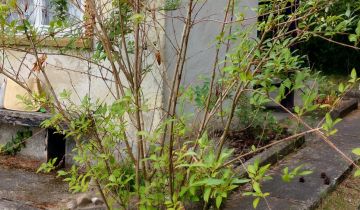 Działka rod Szpęgawsk