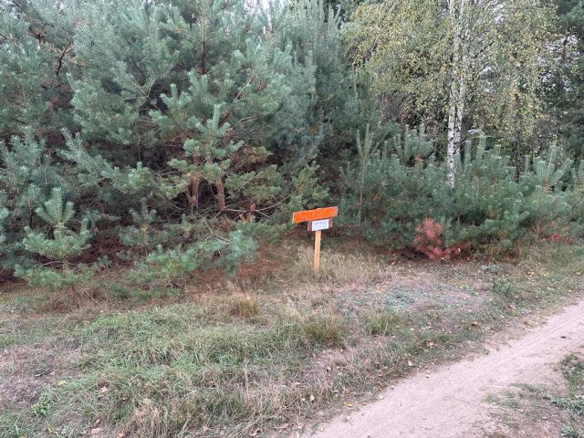 Działka rekreacyjna Adamowo. Zdjęcie 1