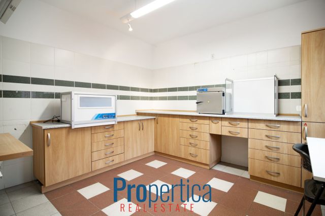 Lokal Płock, ul. Kolegialna. Zdjęcie 18