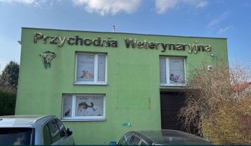 Lokal Nysa, ul. Joachima Lelewela