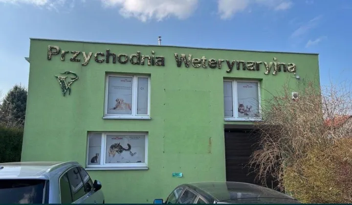 Lokal Nysa, ul. Joachima Lelewela