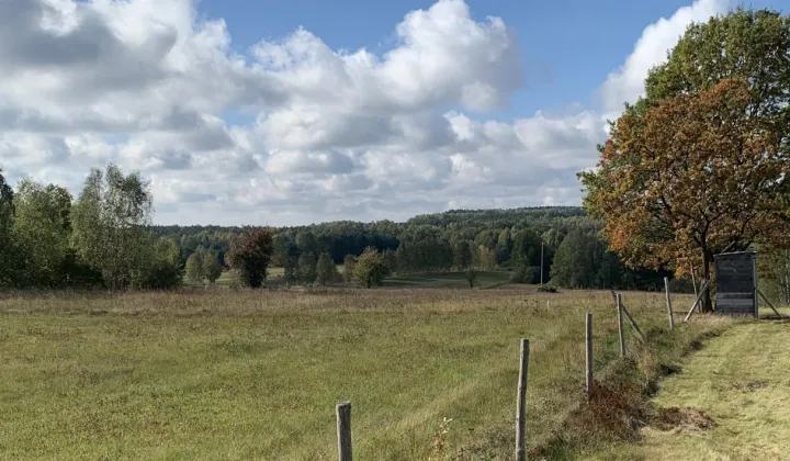 Działka budowlana Lipa
