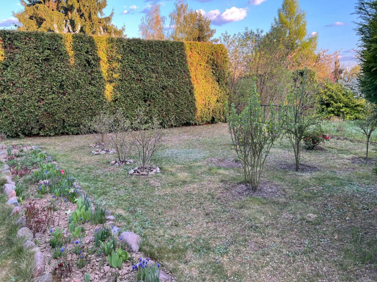 Działka rod Grzybiany. Zdjęcie 2