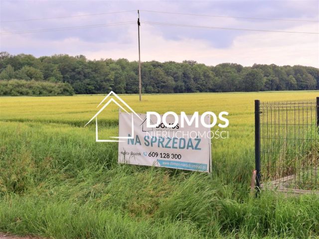 Działka budowlana Ćwiklice, ul. Spokojna. Zdjęcie 3