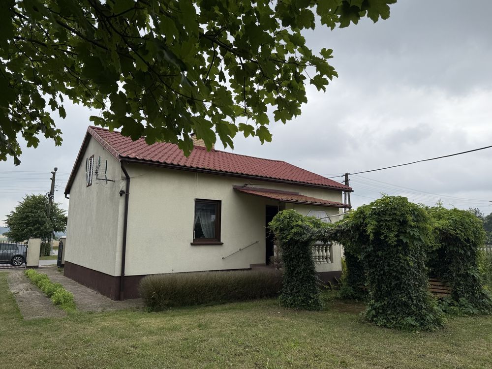 gospodarstwo Głuchów. Zdjęcie 2