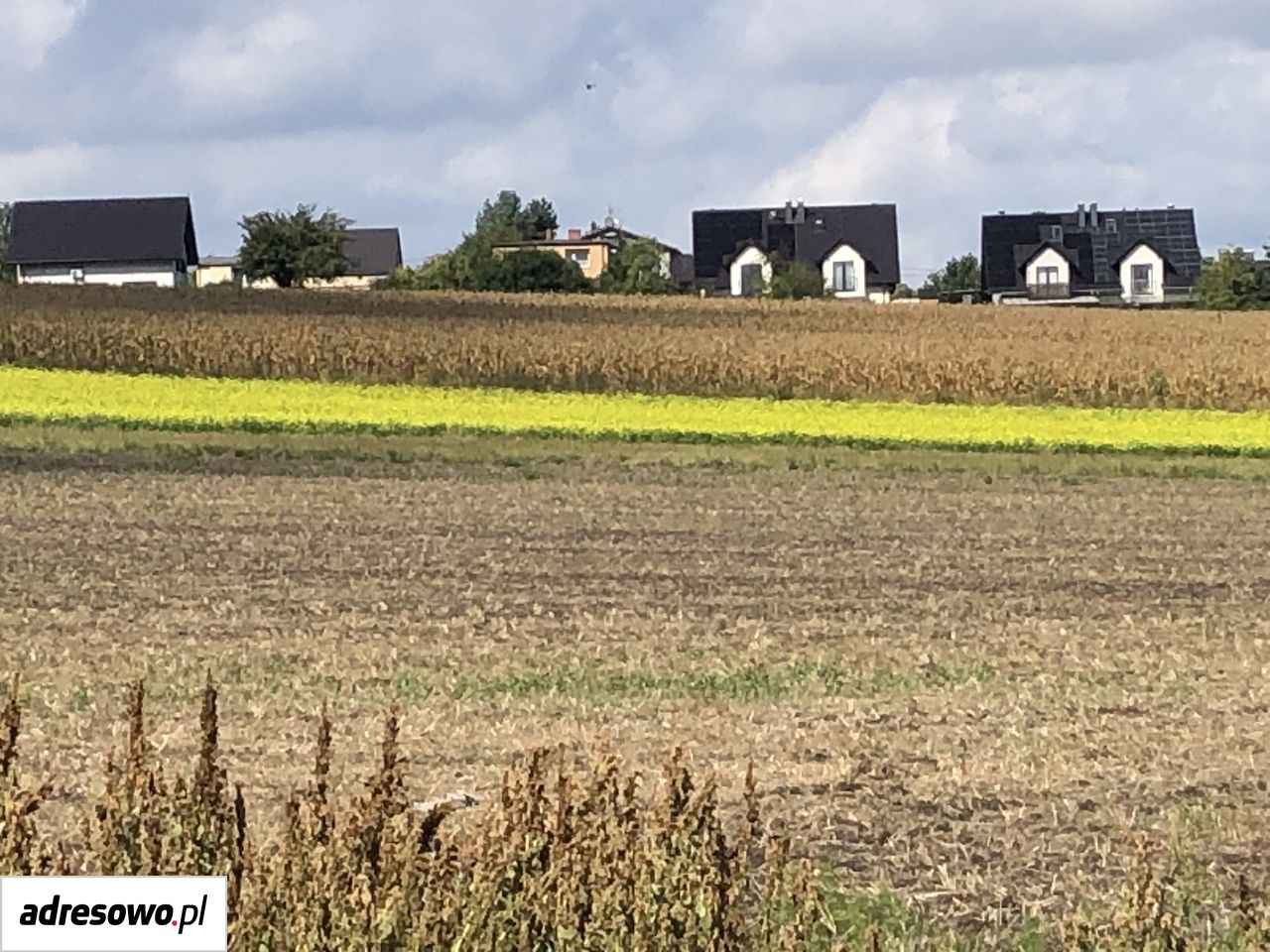 Działka rolna Gliwice Niepaszyce, ul. Podmokła. Zdjęcie 2