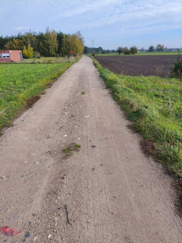 Działka rolna Przydatki Gołaszewskie. Zdjęcie 6