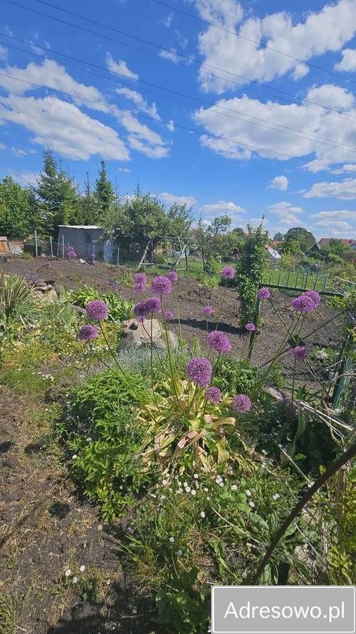 Działka rod Węgorzewo. Zdjęcie 4