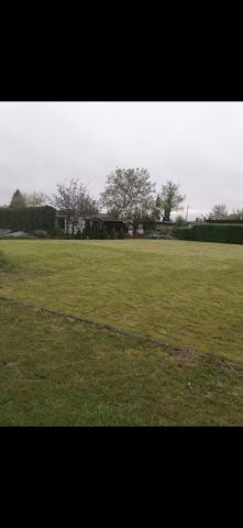 Działka rod Strzelce Opolskie. Zdjęcie 1