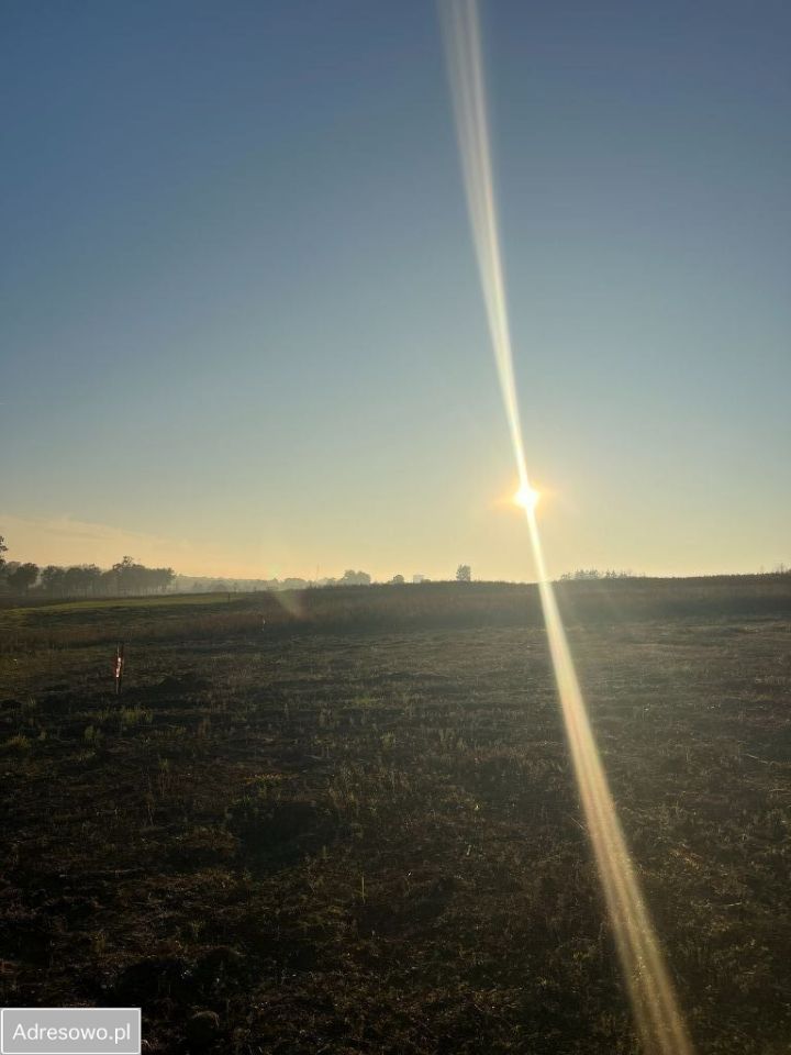 Działka budowlana Rybno Wielkie. Zdjęcie 3