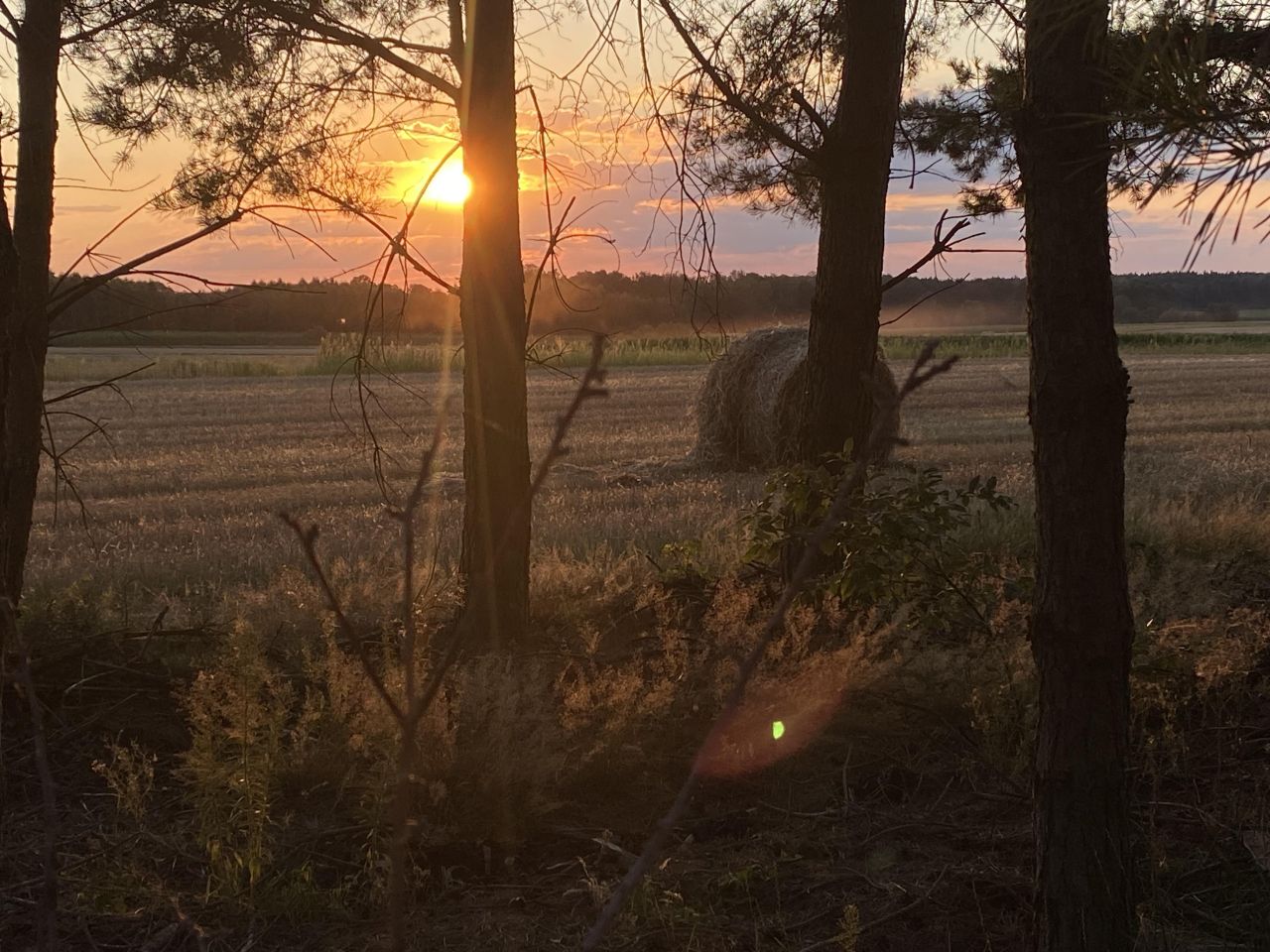 dom wolnostojący, 4 pokoje Kudrowice. Zdjęcie 16