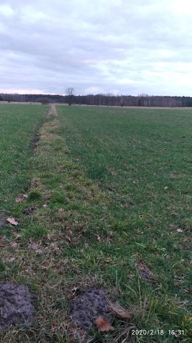 Działka inwestycyjna Księżyki. Zdjęcie 5